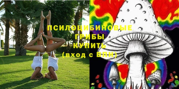 Альфа ПВП Балабаново