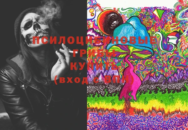 дживик Балахна