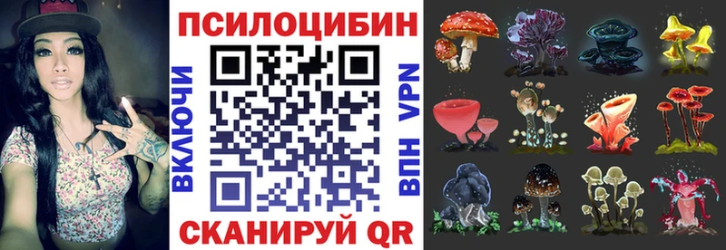Галлюциногенные грибы Psilocybine cubensis  hydra ссылки  Заозёрск  купить наркотики сайты 